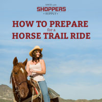 How to Prepare for a Horse Trail Ride