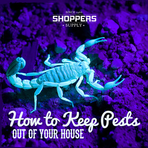 How to Keep Pests Out of Your Arizona House
