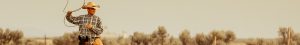 Equine banner