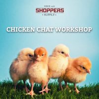 Chicken Chat Workshop