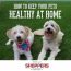 How to Keep Pets Healthy At Home
