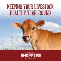 Keeping Your Livestock Healthy Year-Round