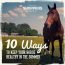 10 Ways to Keep Your Horse Healthy in the Summer