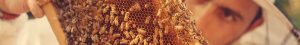 LIVESTOCK & AG - Beekeeping
