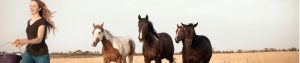 Horses running in field