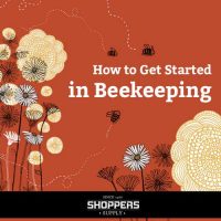 How to Get Started in Beekeeping
