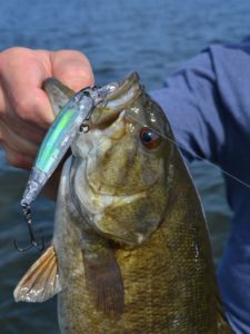 Ron Johnson fish close up
