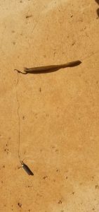 Fishing accessories