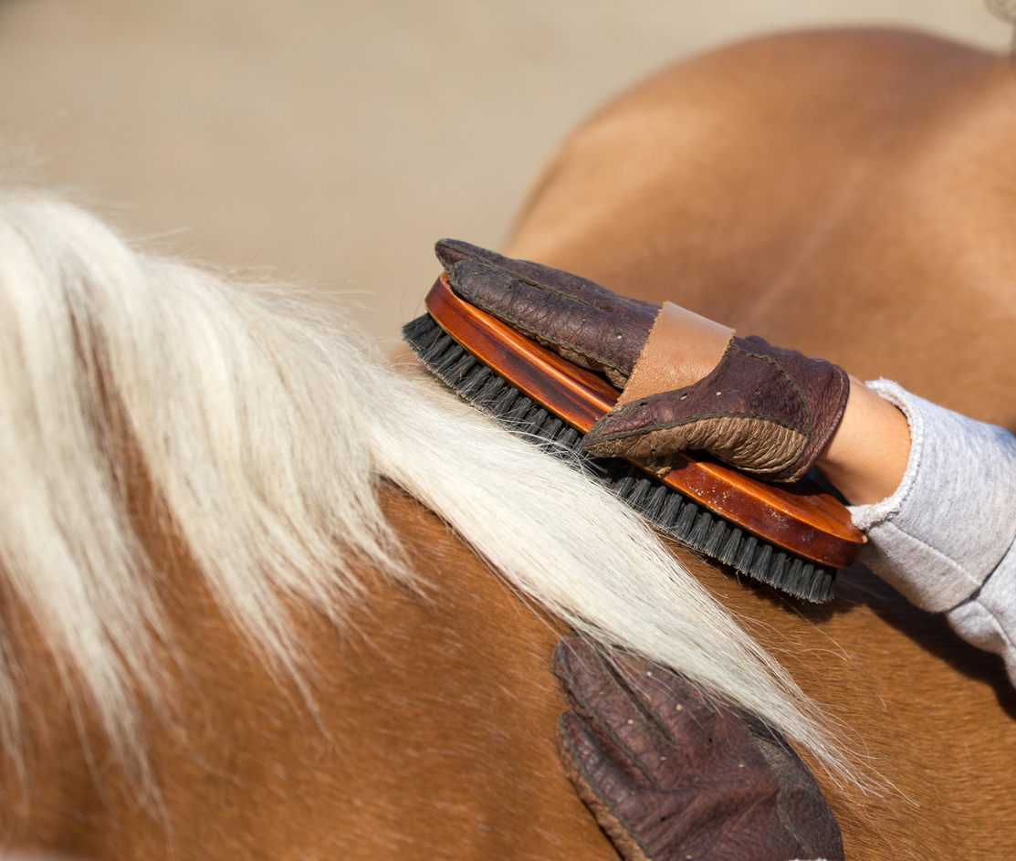 Soft Grip Soft Face Brush - High Horse Saddles