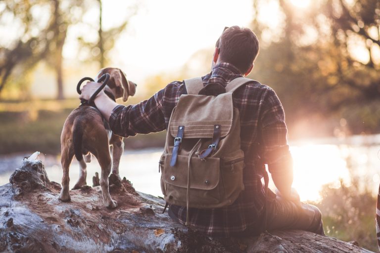 Dog food and vaccinations