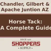 Horse Tack: A Complete Guide