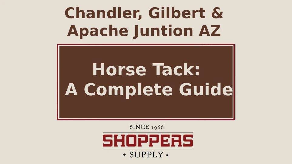Horse Tack: A Complete Guide